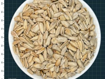 Organic confectionary sunflower seed - past before before - for sale for livestock feed