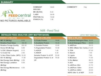 120mt Vetch Hay 530kg 8x4x3 Bales