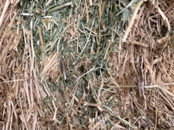 120mt Vetch Hay 530kg 8x4x3 Bales