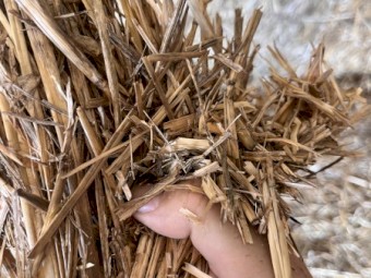 1000mt Oaten Hay 8x4x3 Bales