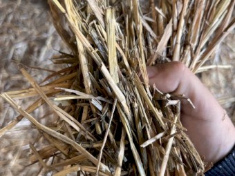 1000mt Oaten Hay 8x4x3 Bales