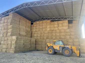 Oaten Straw, Wheat Straw, Barley straw, shedded