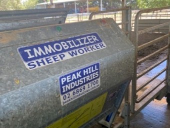 Peak Hill Immobiliser