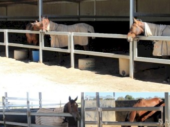 Round 2ft Diameter Water Trough for Cattle & Horses. 100Lt capacity.  4 will fit on 1 pallet.