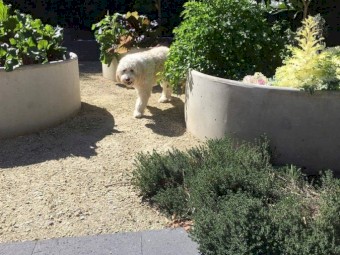 Round 6ft 4in Diameter Water Trough for Cattle, Horses. 1400Lt capacity.