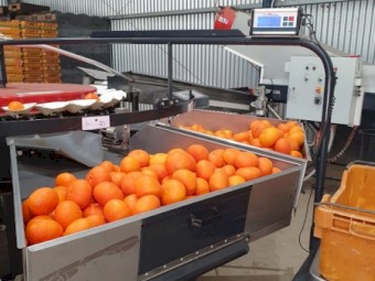 2015 KW fruit grading machine