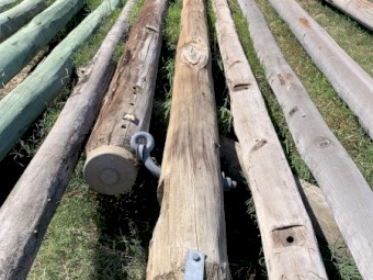 Hardwood poles post telegraph poles 