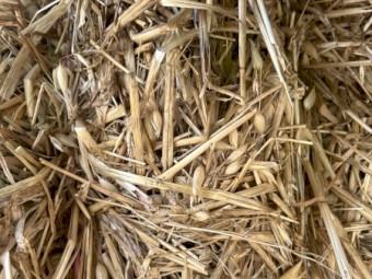 2022 Oaten hay