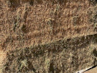 Premium Quality Lucerne 8*4*3 Sold by the tonne