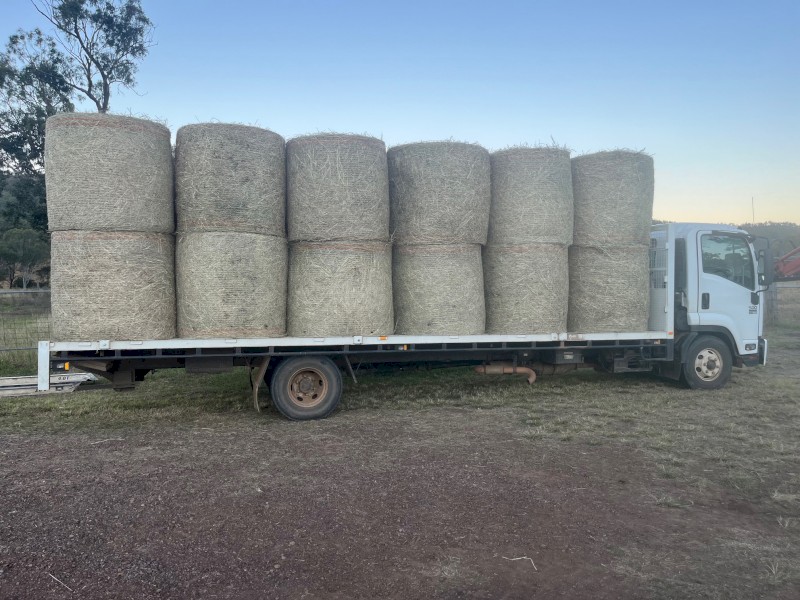 4*4 Pasture Hay- Angleton (Bluegrass) Grass-Legume-Rhodes | Farm Tender