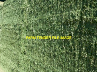 32 of  Lucerne Hay 3rd Cut 750kg 8x4x3 Bales