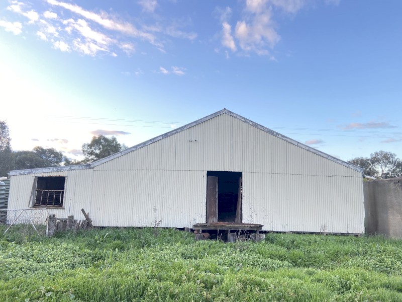 Shearing Shed Wool Shed
