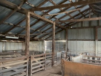 Shearing Shed Wool Shed