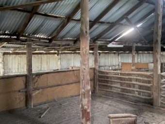 Shearing Shed Wool Shed