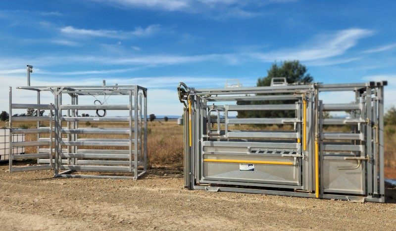 Cattle & Sheep Yards with Cattle/Sheep Combination Loading Ramp