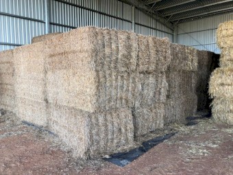 150mt Vetch Hay 8x4x3 Bales 20 Season shedded