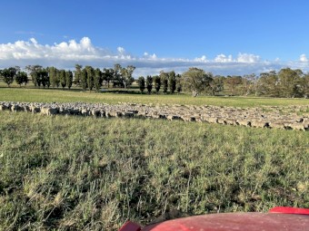 WANTED Lease Country