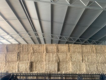 Barley header tailings straw shedded 100 tonne 22 season 8x4x3 8 string approx 600kg