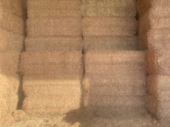 23 Season 140mt Vetch Hay approx 210 bales 8x4x3 Bales shedded approx 660 kgs