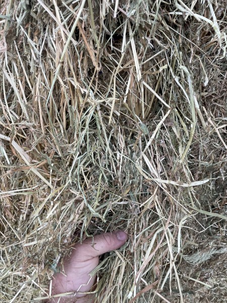 500mt Vetch Hay 8x4x3 Bales