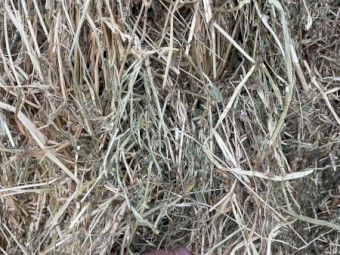 500mt Vetch Hay 8x4x3 Bales