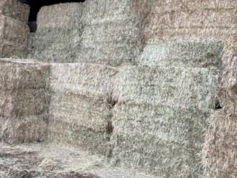 150 x Pasture Hay 8x4x3 Bales