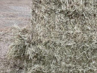 150 x Pasture Hay 8x4x3 Bales