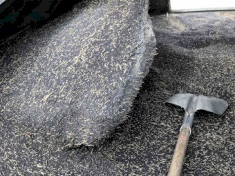 20t canola probably for non-food use