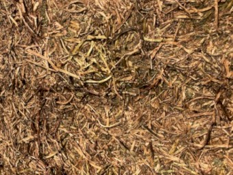 200mt Vetch Hay 600kg 8x4x3 Bales