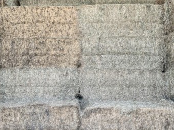 120mt Vetch Hay 530kg 8x4x3 Bales