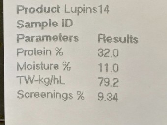 26mt Narrowleaf Lupins