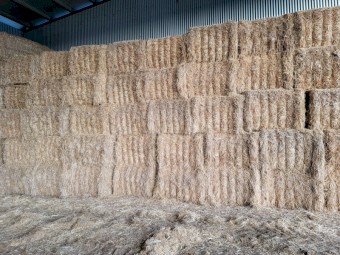 Barley Header tailings 