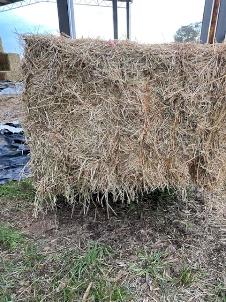 60mt Rye 500kg 8x4x3 Bales