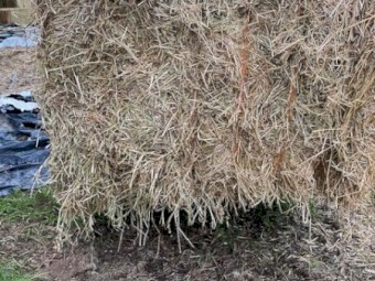 60mt Rye 500kg 8x4x3 Bales