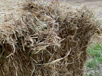 60mt Rye 500kg 8x4x3 Bales