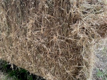 60mt Rye 500kg 8x4x3 Bales