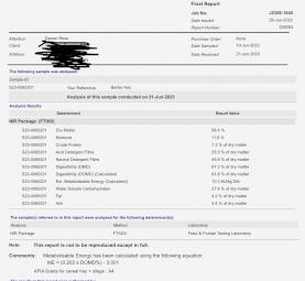 Barley Hay Top Quality