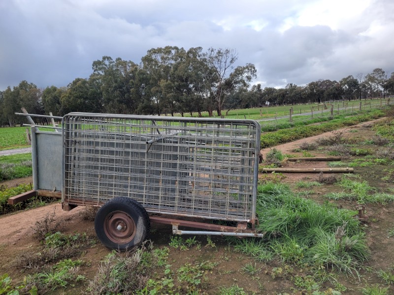 Portable 3 way draft and Sheep Yards
