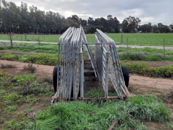 Portable 3 way draft and Sheep Yards