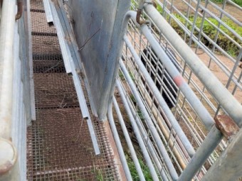 Portable 3 way draft and Sheep Yards