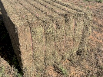 200mt Vetch Hay 8x4x3 Bales