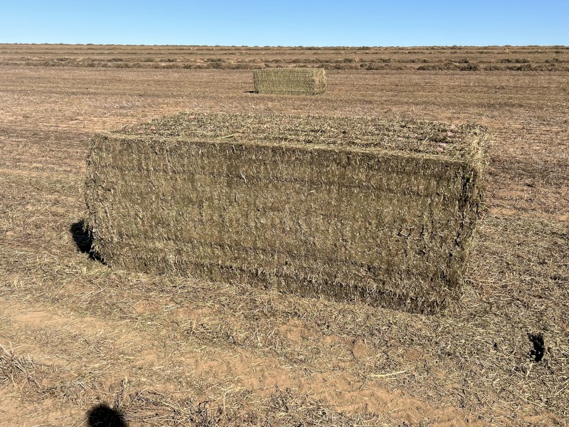 200mt Vetch Hay 8x4x3 Bales