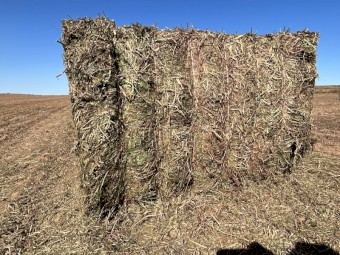 200mt Vetch Hay 8x4x3 Bales