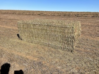 200mt Vetch Hay 8x4x3 Bales