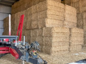 Oaten and Rye grass hay