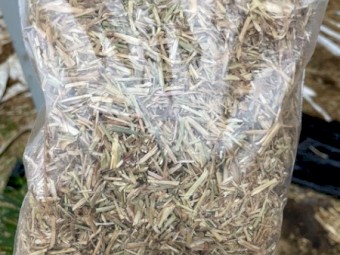 Oaten and Rye grass hay