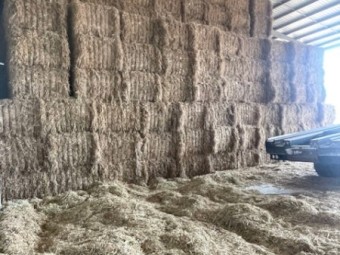 Oaten and Rye grass hay