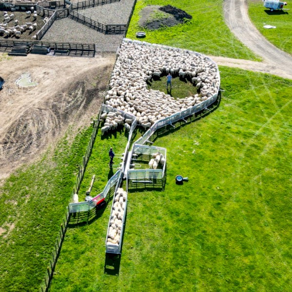 Porta-Yards, brand new, '3.0m standard yard' stocked in Melbourne