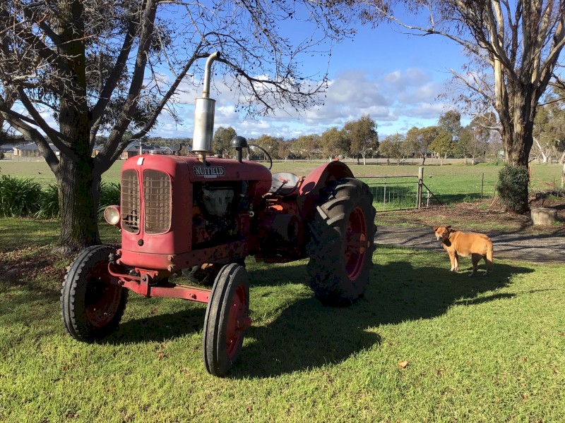 Nuffield Universal M4 Tractor 1951 Petrol-Kero