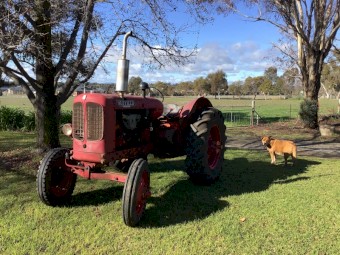 Nuffield Universal M4 Tractor 1951 Petrol-Kero